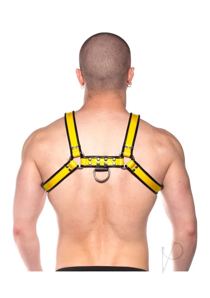 Female Sex Toys Prowler Red Prowler Redbull Harness Bkyel Xxldisc